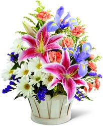 FTD Nature's Wonder<br><b>FREE DELIVERY from Flowers All Over.com 